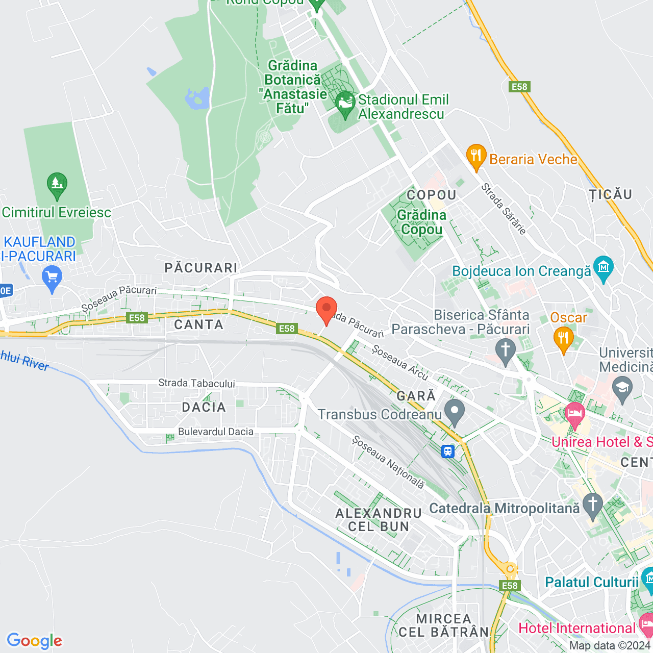 Poza harta streetview, zoom 14, adresa  Iasi Str. Niciman nr. 1, , judetul