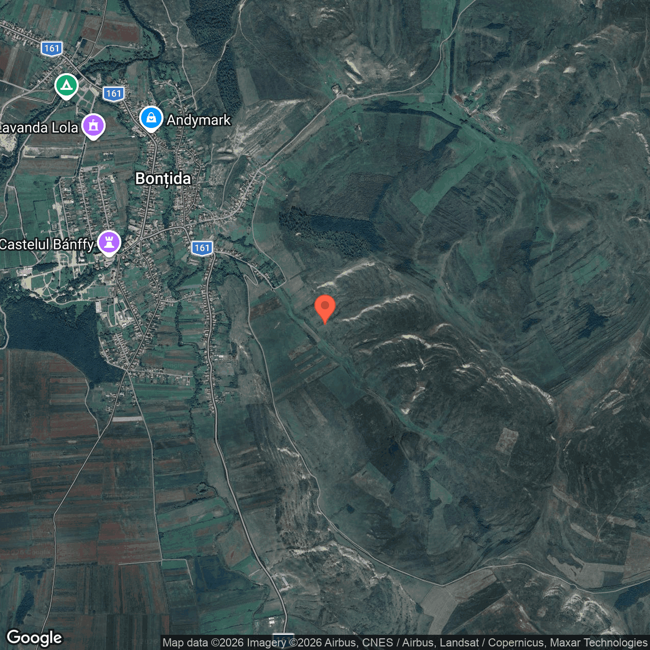 Poza harta hybrid, zoom 14, adresa Cluj, Bontida, , judetul