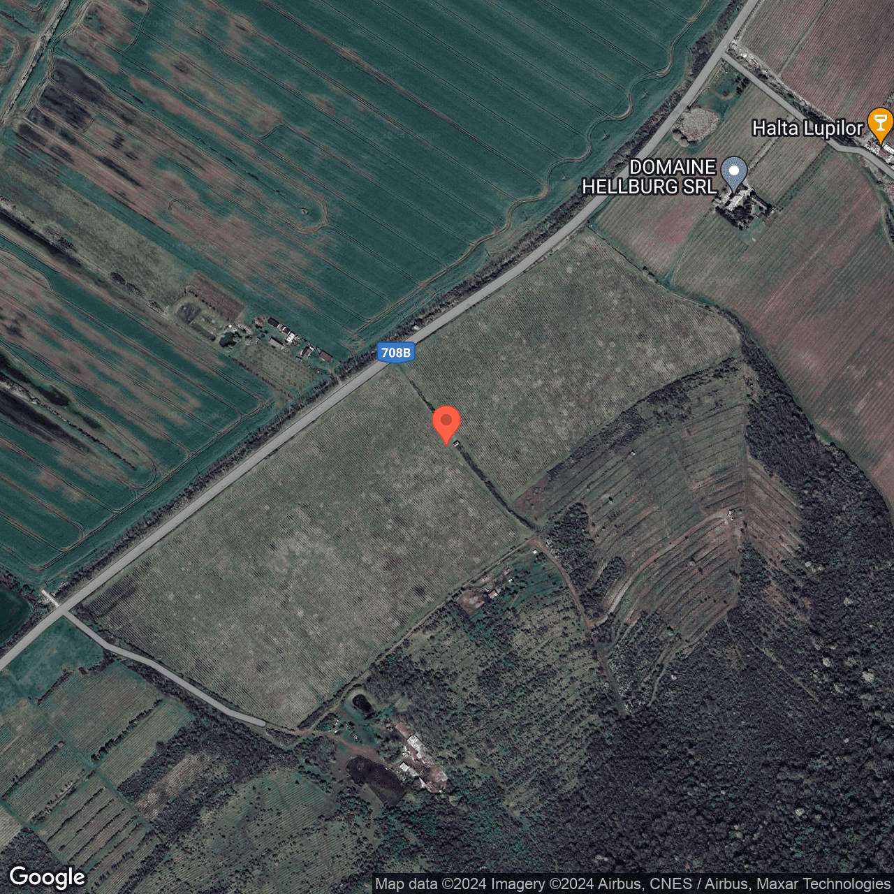 Poza harta hybrid, zoom 16, adresa Siria Arad, , judetul