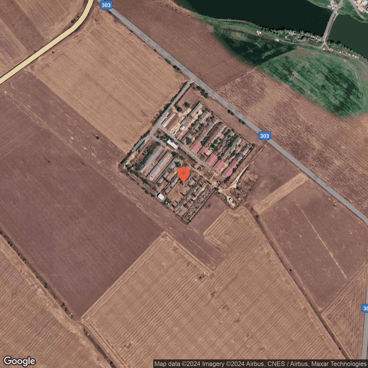 Poza harta hybrid, zoom 16, adresa Calareti Tamadau Mare, , judetul