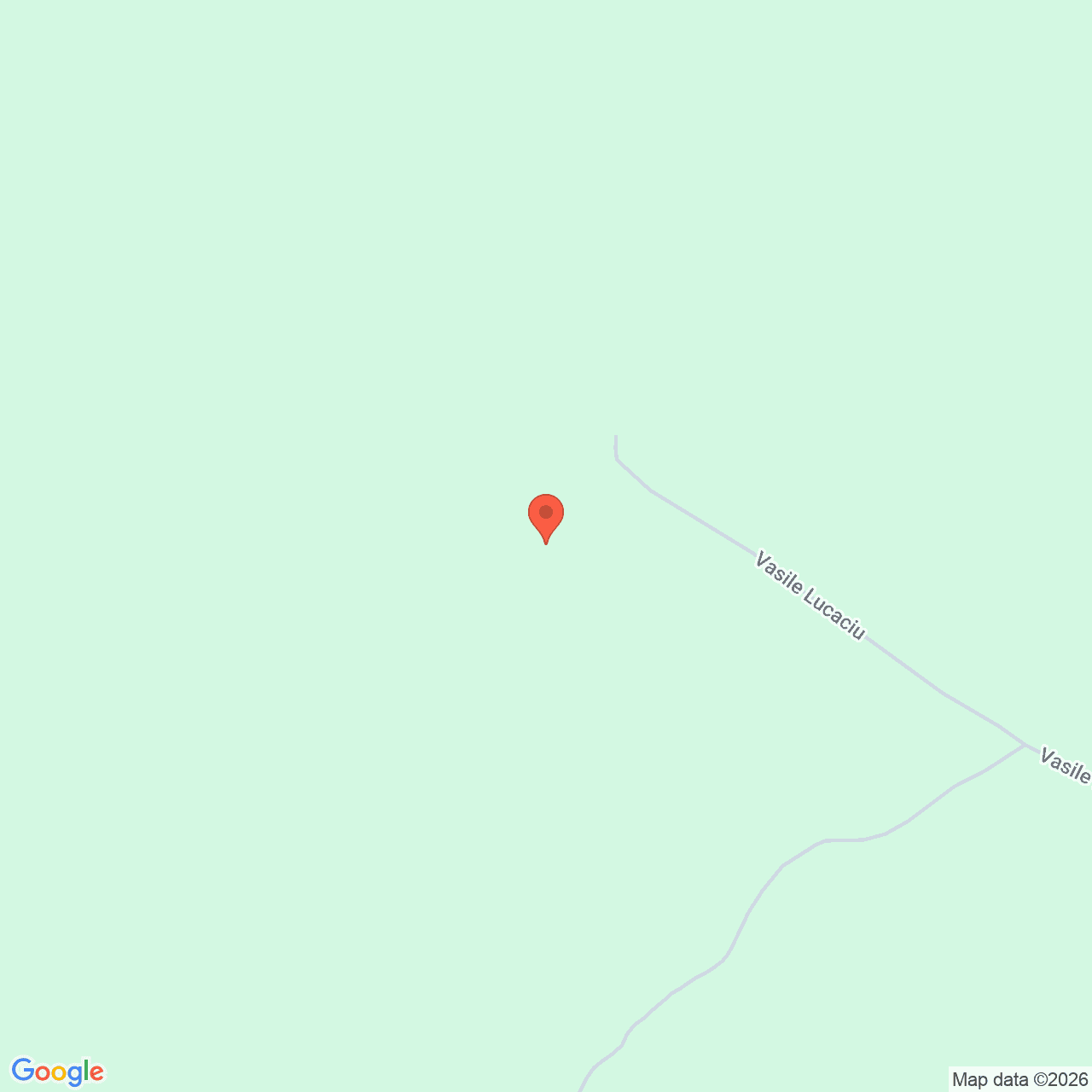 Poza harta streetview, zoom 16, adresa Salonta Bihor, , judetul