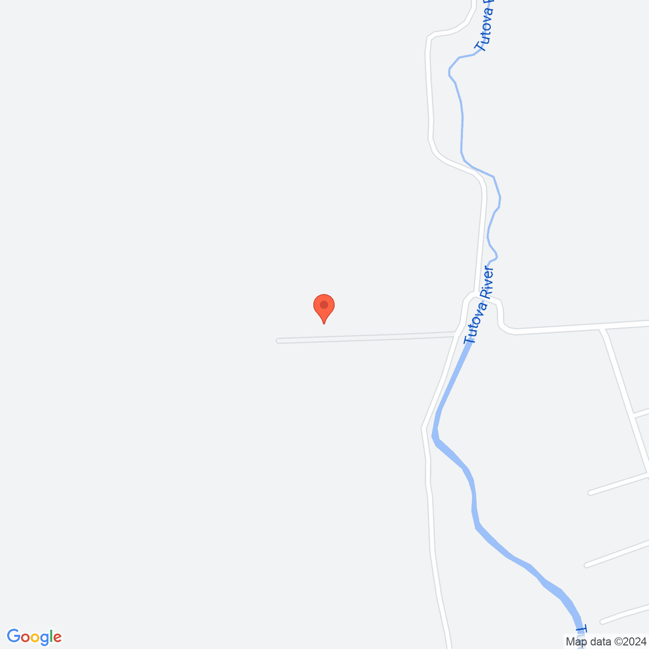 Poza harta streetview, zoom 16, adresa Pogonesti Vaslui, , judetul