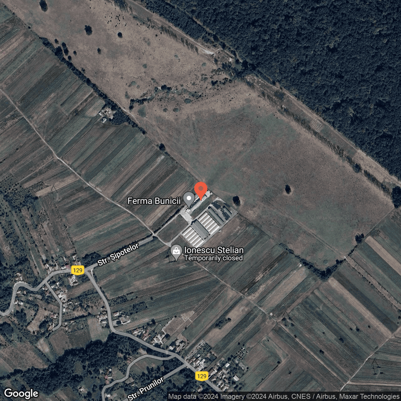 Poza harta hybrid, zoom 16, adresa Babeni Valcea, , judetul