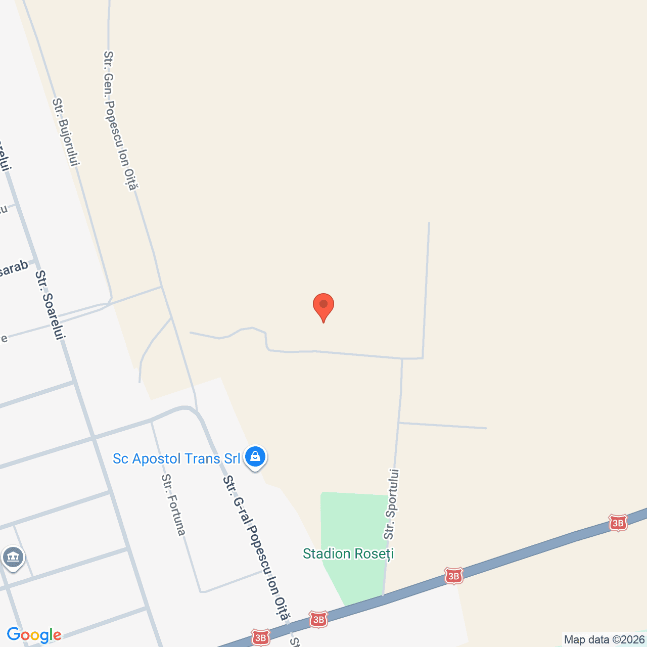 Poza harta streetview, zoom 16, adresa Roseti Calarasi, , judetul