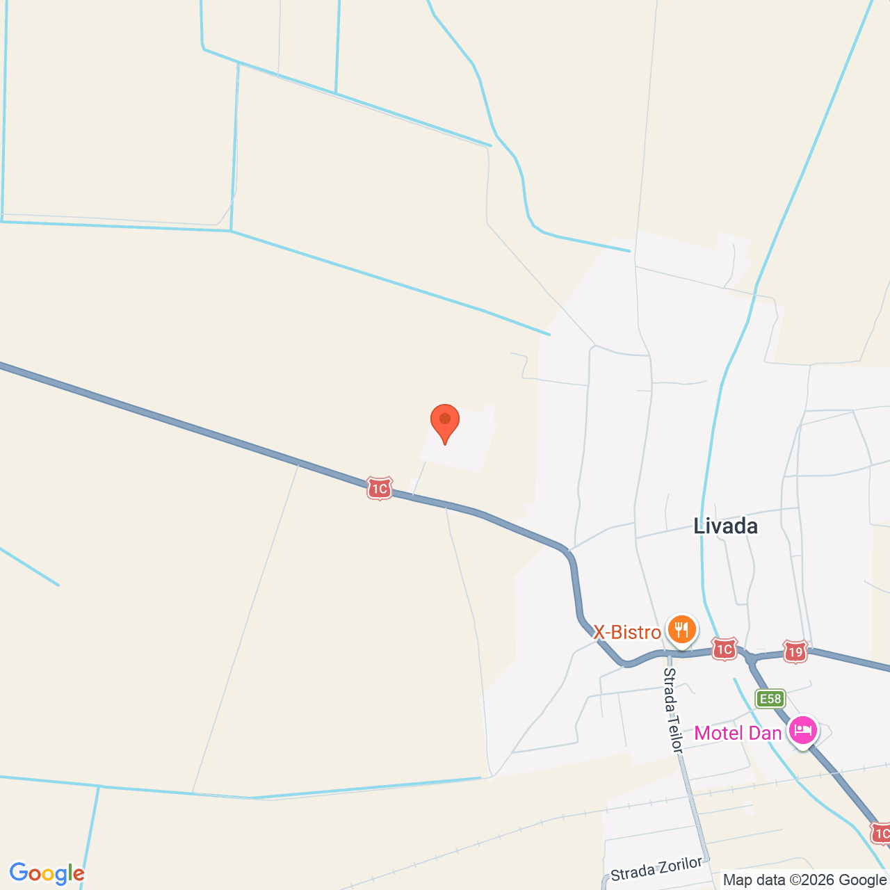Poza harta streetview, zoom 14, adresa Livada Satu Mare, , judetul