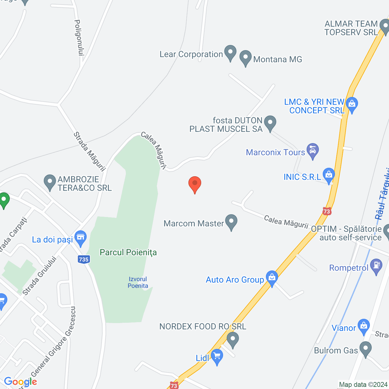 Poza harta streetview, zoom 16, adresa Campulung Arges, , judetul