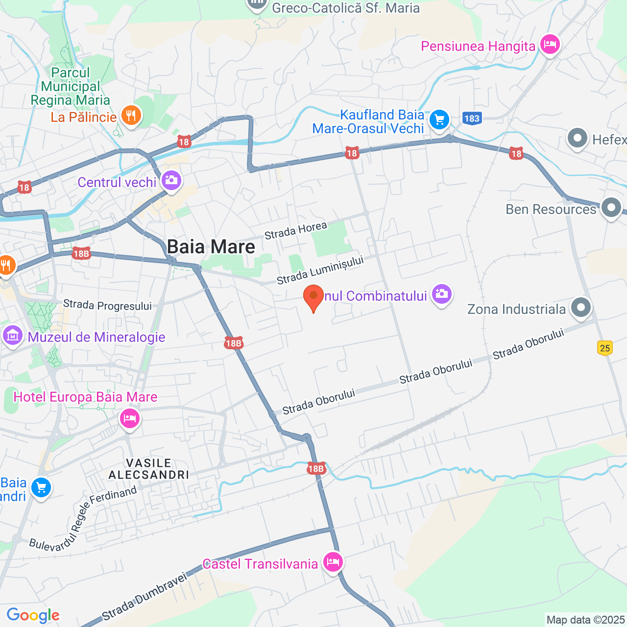 Poza harta streetview, zoom 14, adresa  strada Universității, Baia Mare, , judetul
