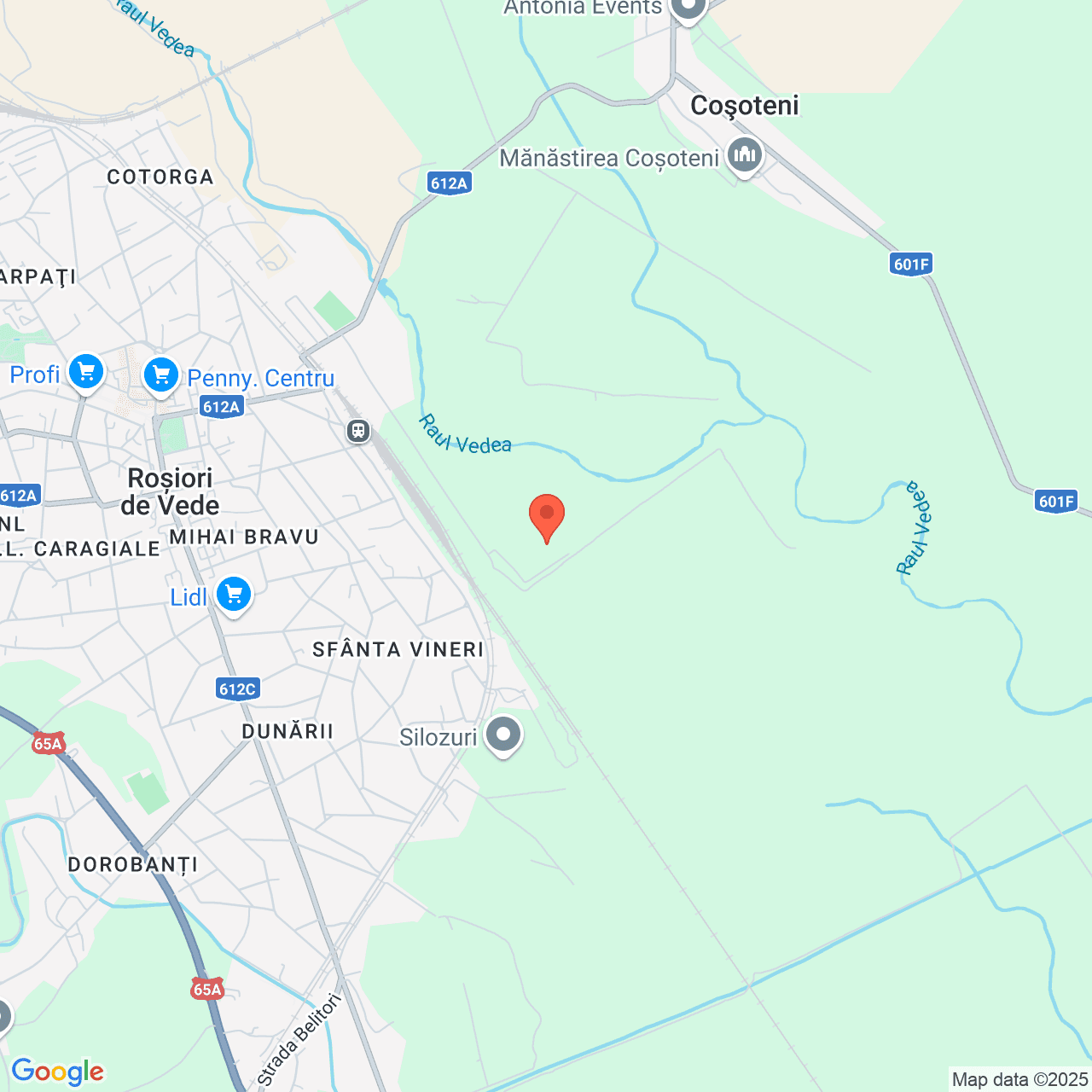 Poza harta streetview, zoom 14, adresa strada Zavoiului nr 13 Rosiori de Vede, , judetul