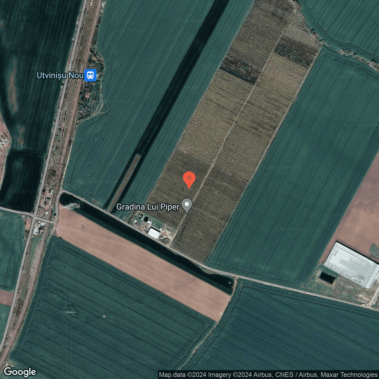 Poza harta hybrid, zoom 16, adresa Zimandu Nou, , judetul