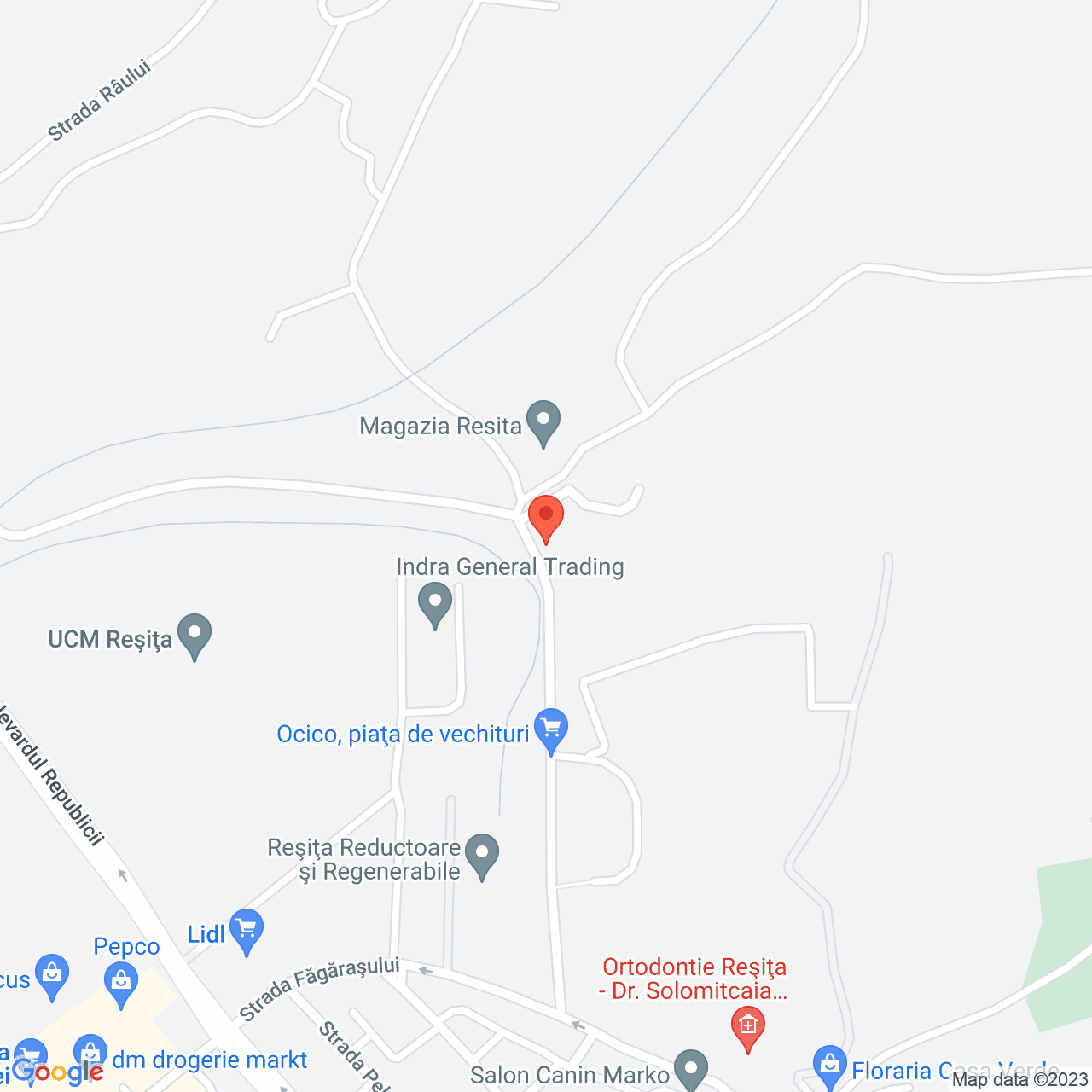 Poza harta streetview, zoom 16, adresa Aleea Gugu 4 Resita, , judetul