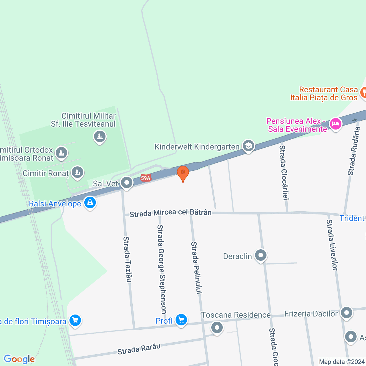 Poza harta streetview, zoom 16, adresa TIMISOARA, strada Ovidiu Balea nr. 39, , judetul