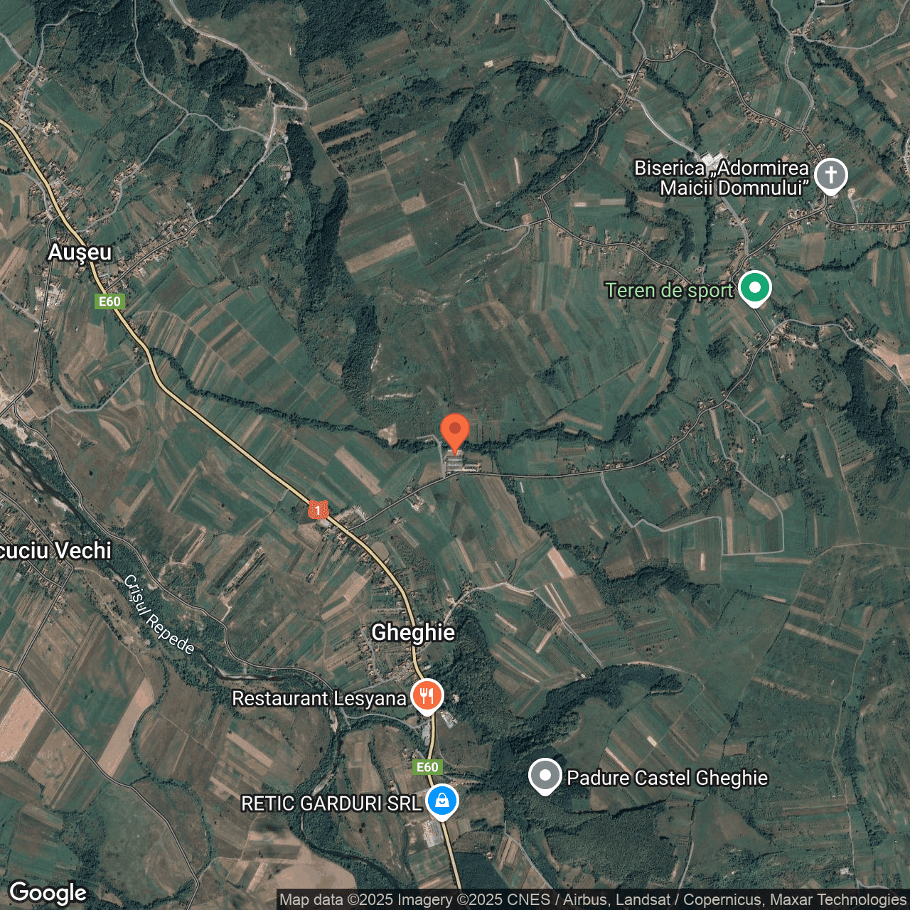 Poza harta hybrid, zoom 14, adresa Auseu Bihor, , judetul