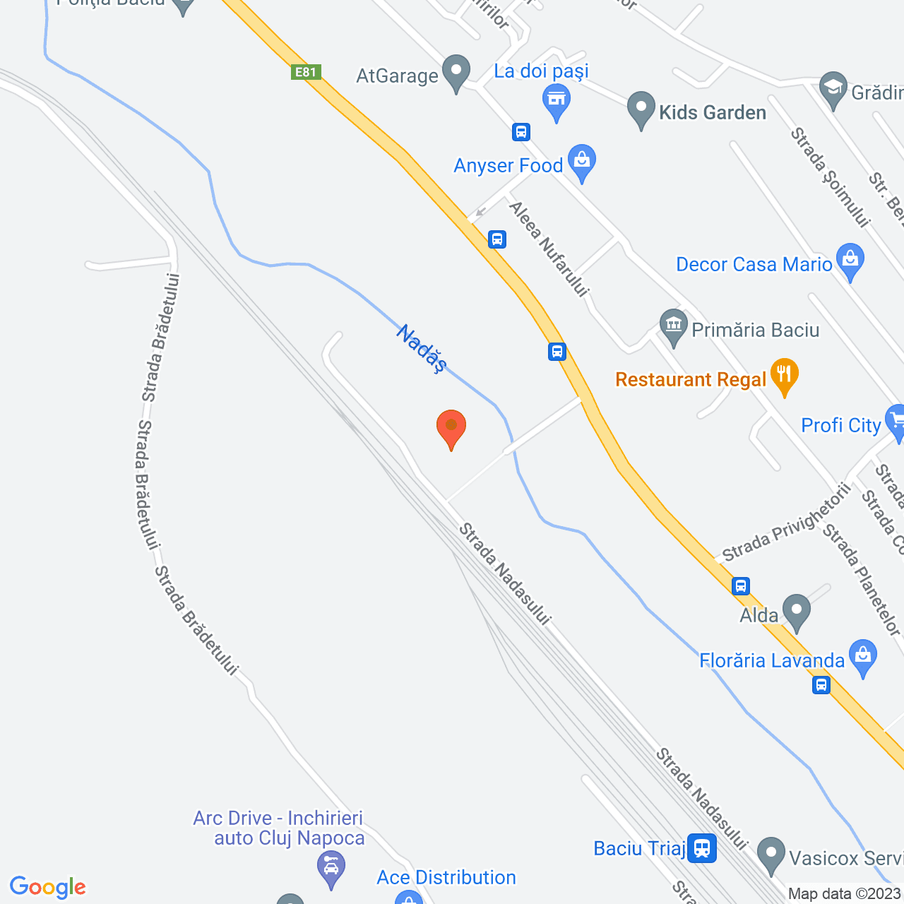 Poza harta streetview, zoom 16, adresa Baciu Cluj, , judetul