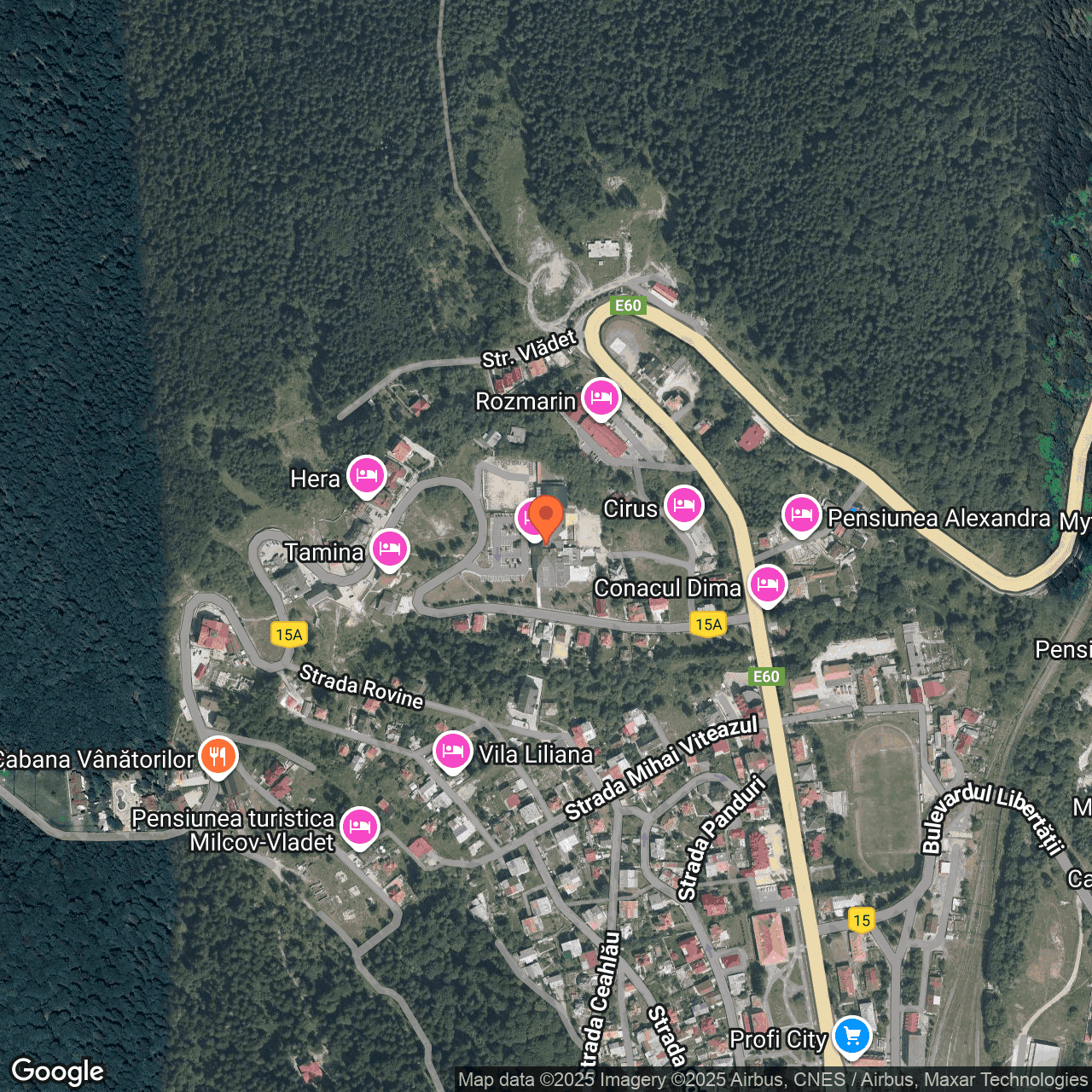 Poza harta hybrid, zoom 16, adresa Predeal, str. Trei Brazi nr.6, , judetul