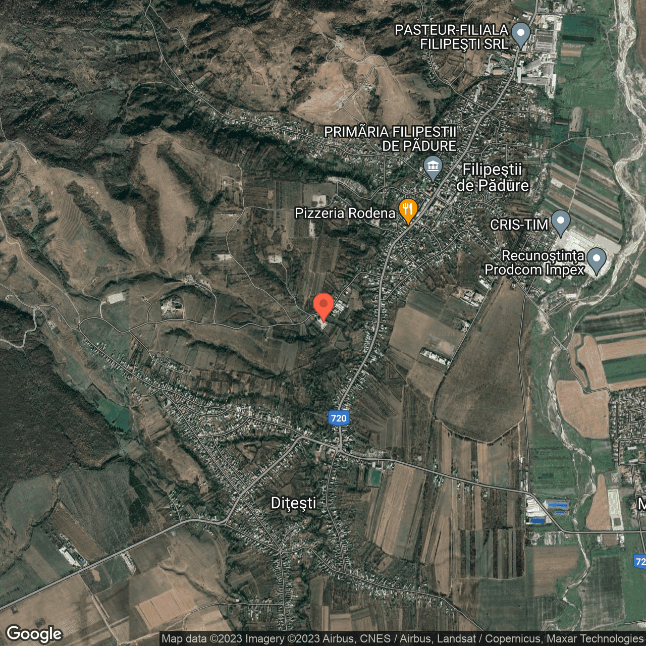 Poza harta hybrid, zoom 14, adresa Filipestii de Padure, , judetul