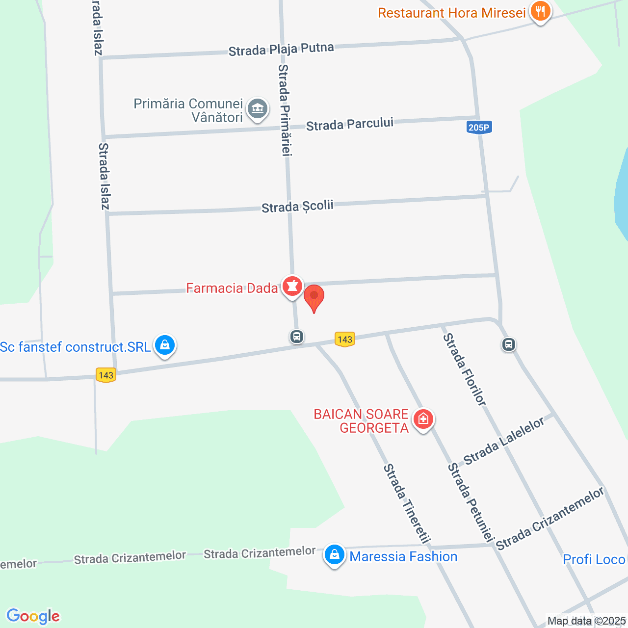 Poza harta streetview, zoom 16, adresa Vanatori, str. Primariei nr. 2 Vrancea, , judetul