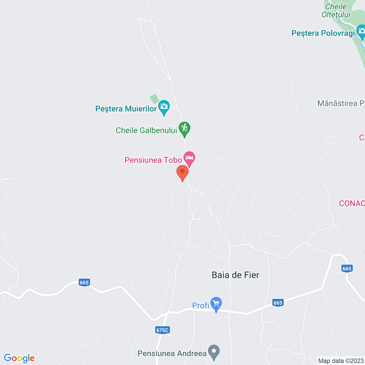 Poza harta streetview, zoom 14, adresa Baia de Fier, , judetul