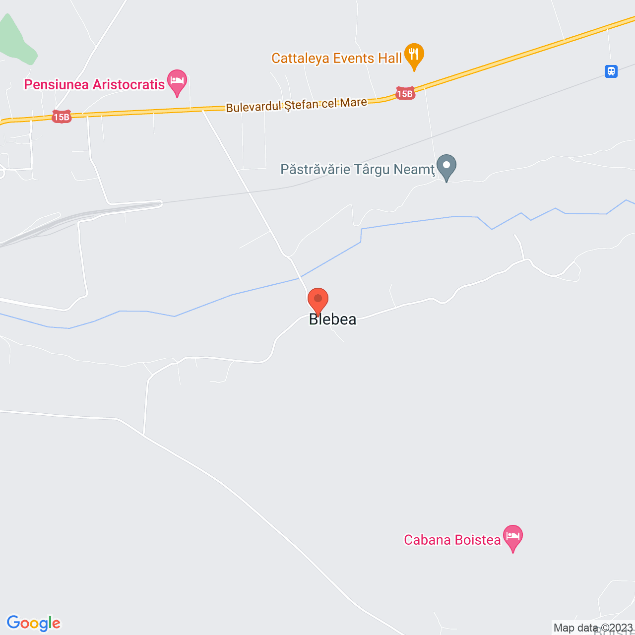 Poza harta streetview, zoom 14, adresa Targu Neamt str. Vanatorului, nr.50, , judetul