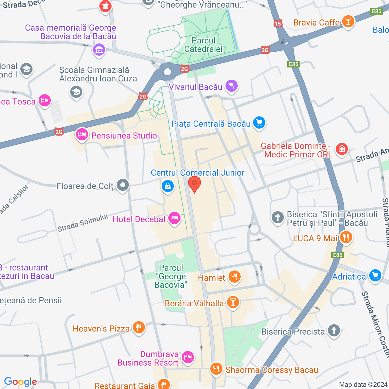 Poza harta streetview, zoom 16, adresa Bacău, str. N. Bălcescu, nr.10, , judetul