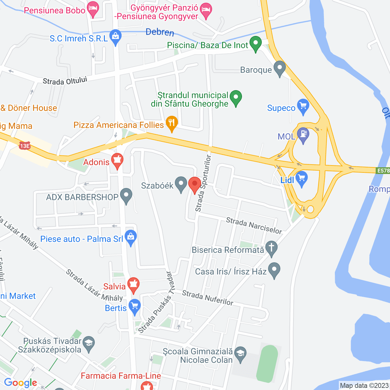 Poza harta streetview, zoom 16, adresa Sfantu Gheorghe, str.Sporturilor, nr.10, , judetul