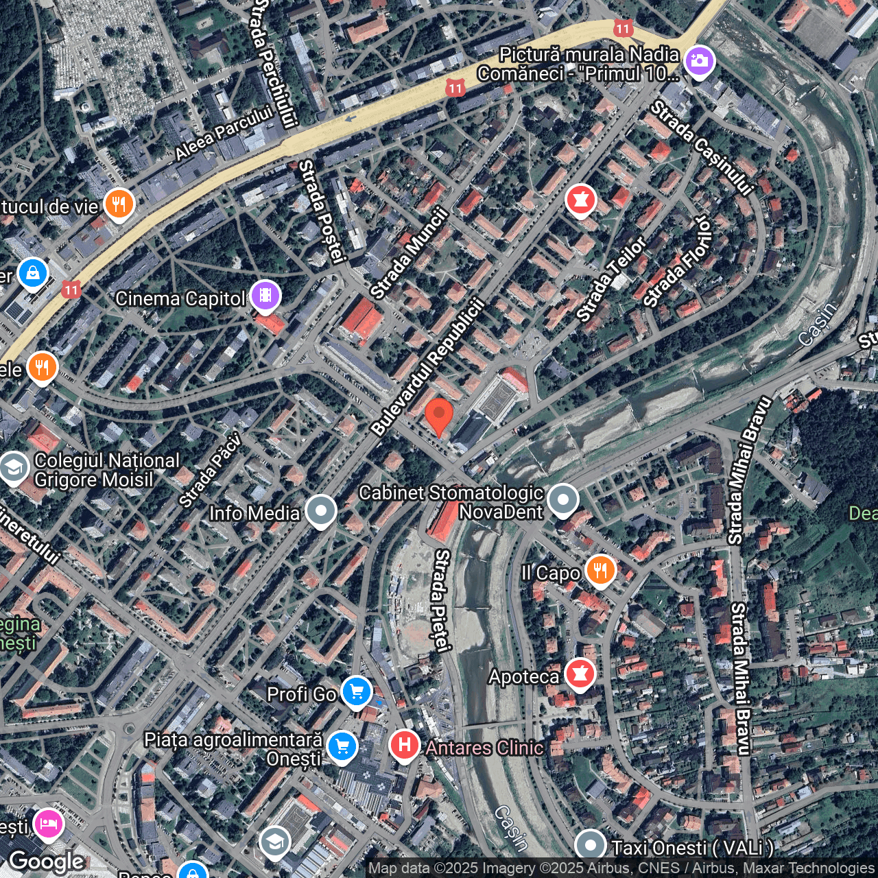 Poza harta hybrid, zoom 16, adresa Onești, str. General Radu Rosetti, Nr.2 Bacau, , judetul