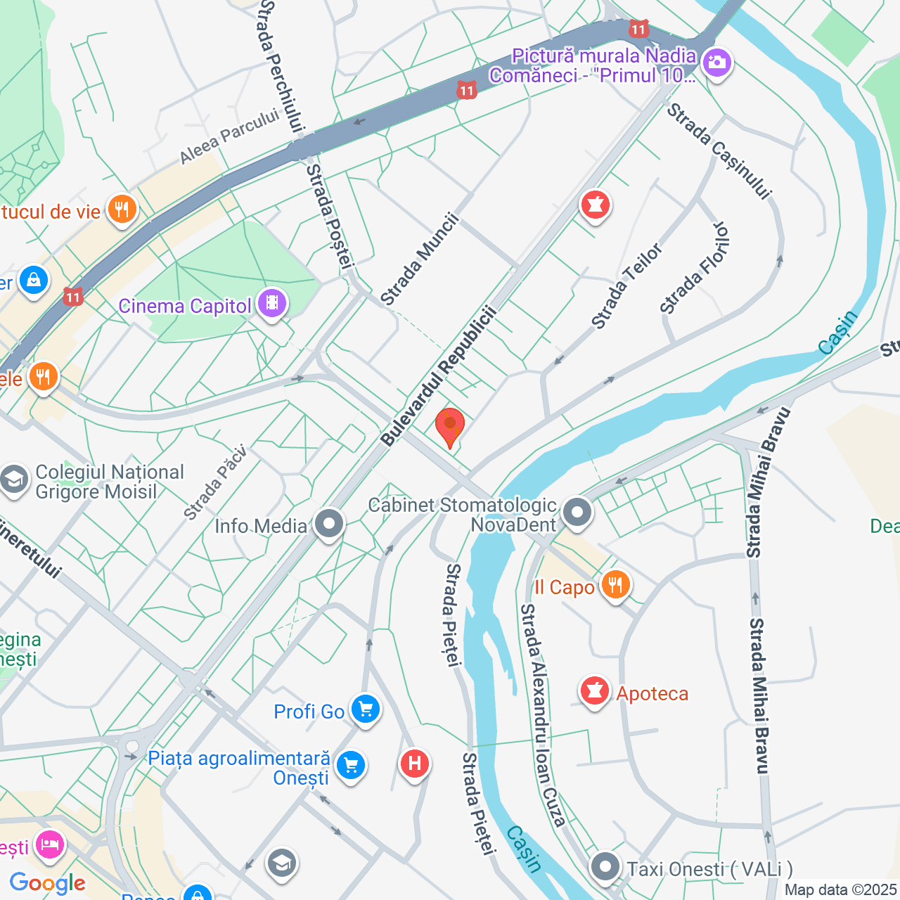 Poza harta streetview, zoom 16, adresa Onești, str. General Radu Rosetti, Nr.2 Bacau, , judetul