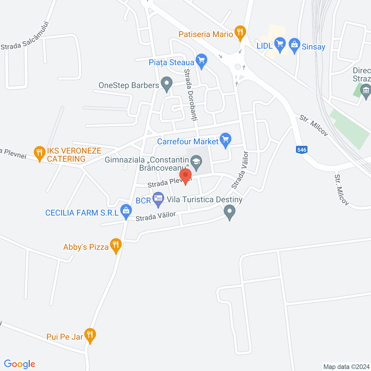 Poza harta streetview, zoom 16, adresa Slatina, str. Plevnei, nr. 7, , judetul