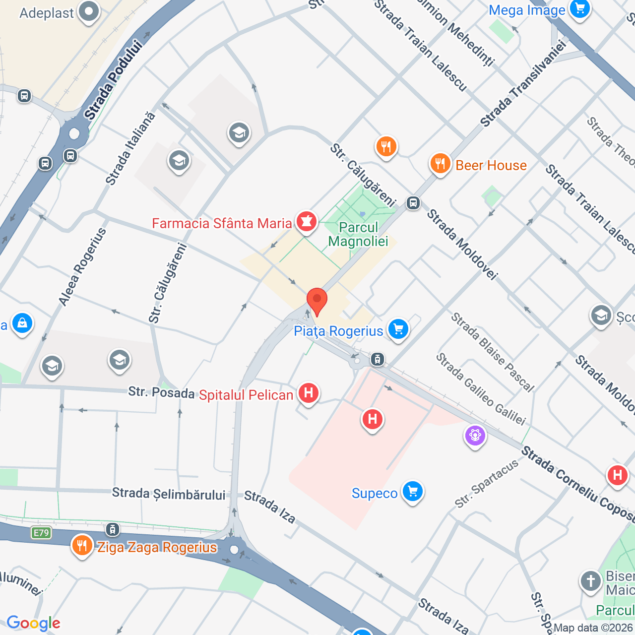 Poza harta streetview, zoom 16, adresa strada Transilvaniei, nr. 9 Oradea, , judetul
