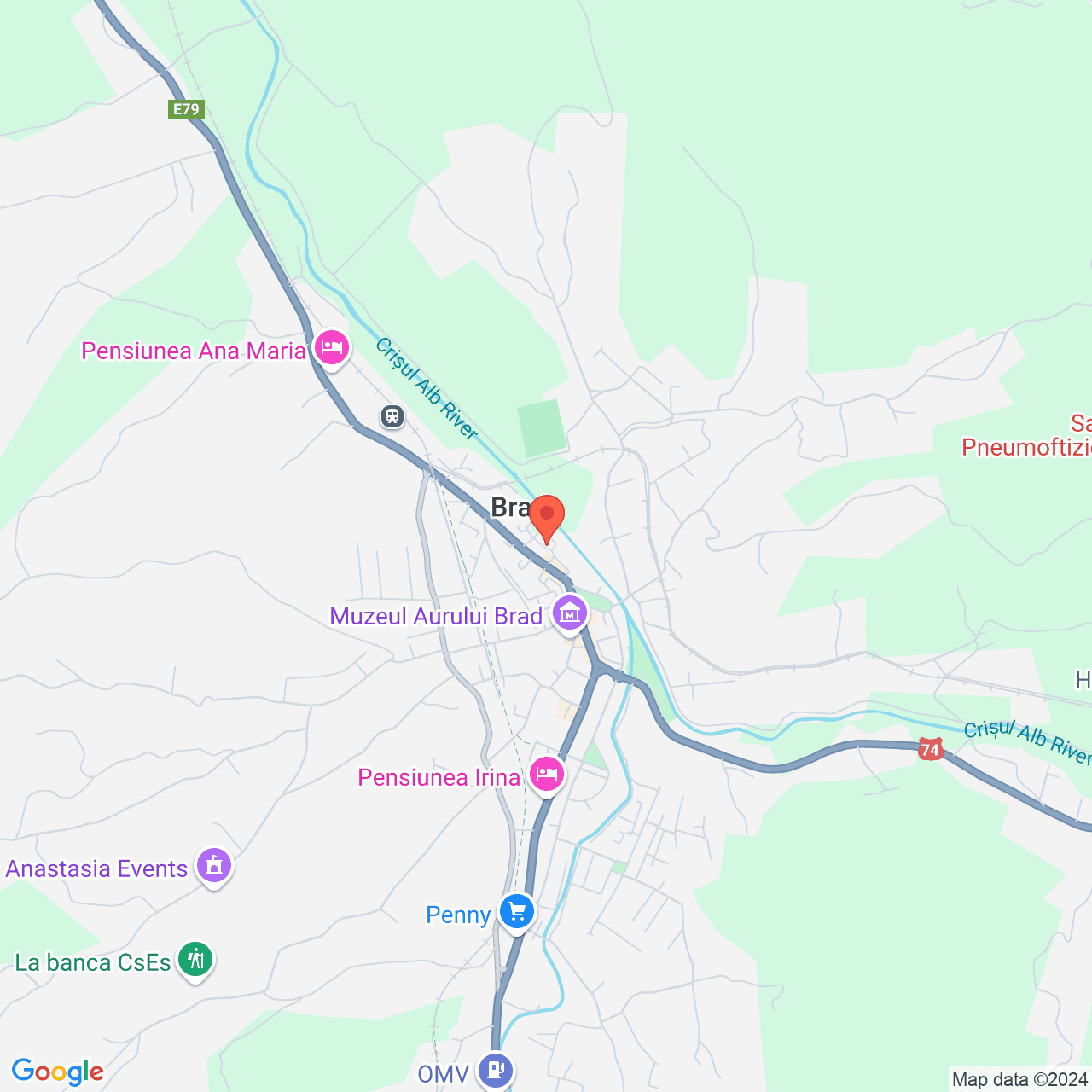 Poza harta streetview, zoom 14, adresa Brad, Piața Avram Iancu, nr. 4-6 judet Hunedoara, , judetul