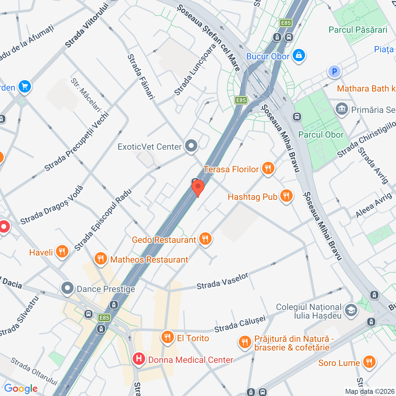 Poza harta streetview, zoom 16, adresa n Calea Mosilor, nr. 298, bl. 48, Sector 2 Bucuresti, , judetul