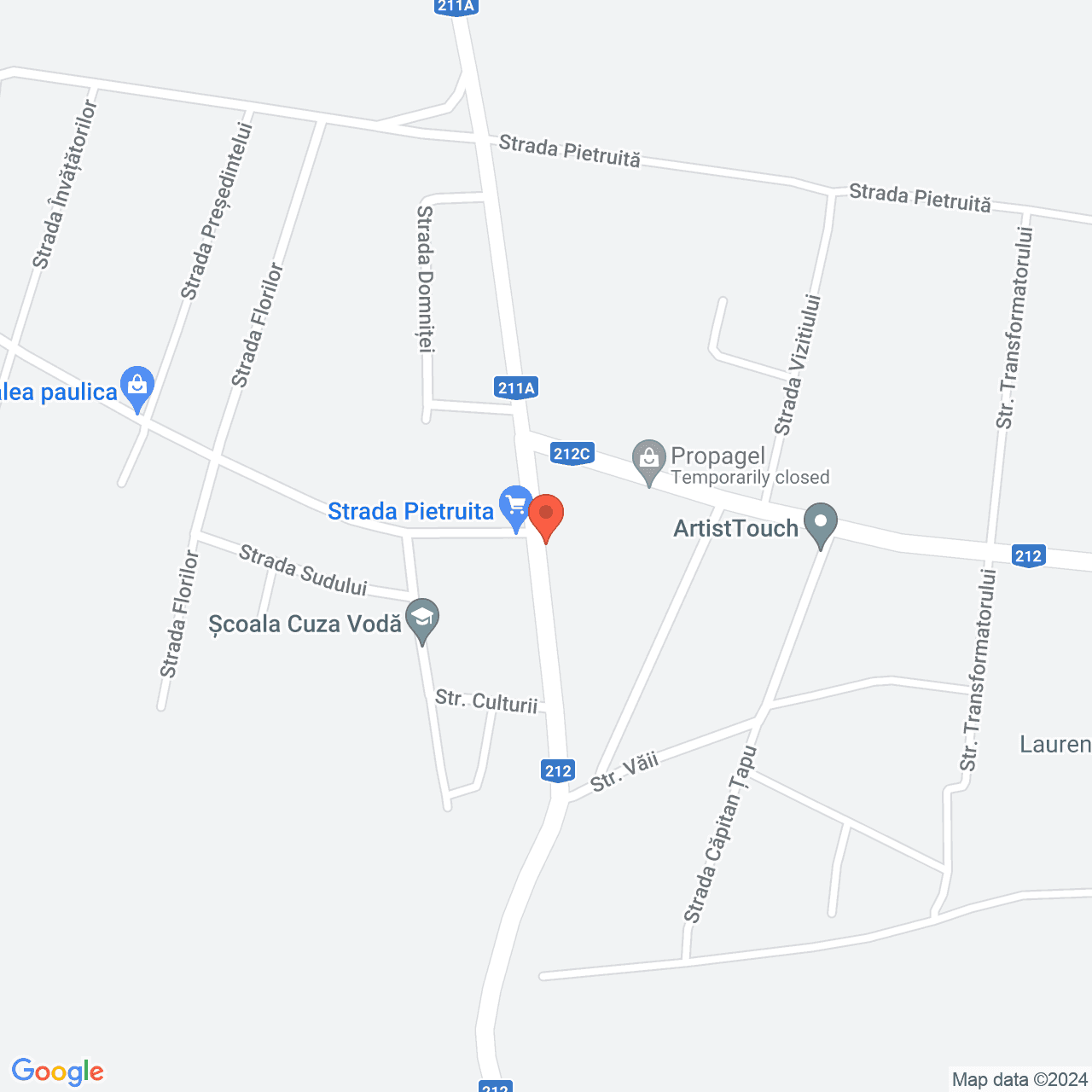 Poza harta streetview, zoom 16, adresa Cuza Voda Stancuta, , judetul