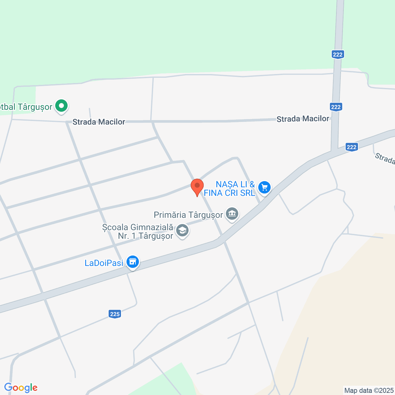 Poza harta streetview, zoom 16, adresa Targusor, Constanta, , judetul