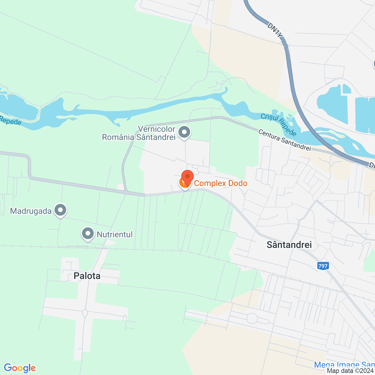 Poza harta streetview, zoom 14, adresa Santandrei Bihor, , judetul