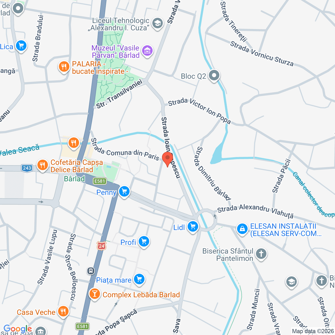 Poza harta streetview, zoom 16, adresa Bârlad, Str. Ion Popescu, Nr. 43, , judetul