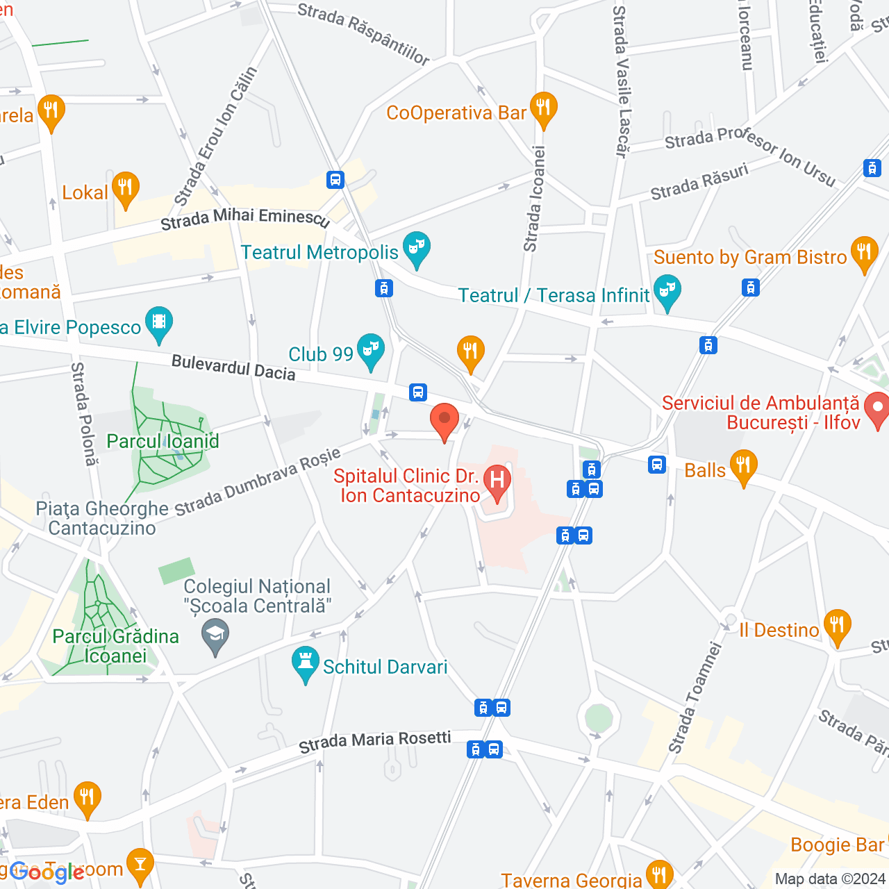 Poza harta streetview, zoom 16, adresa Bucuresti, str.Icoanei nr.41-43, , judetul