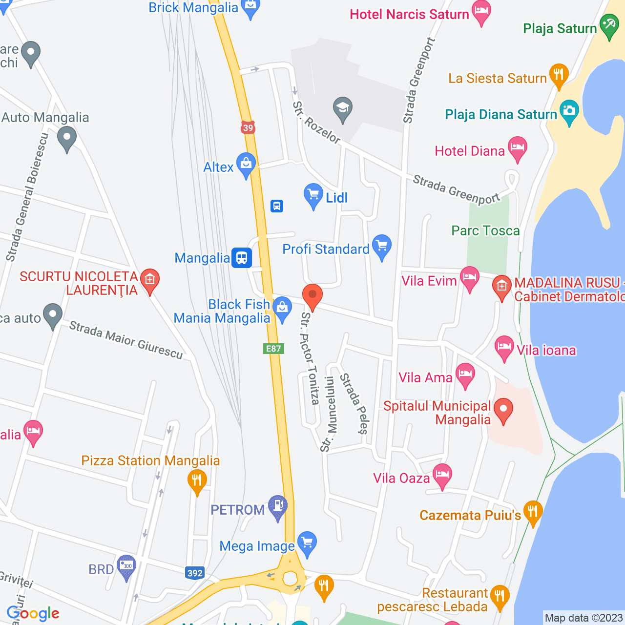 Poza harta streetview, zoom 16, adresa Mangalia, , judetul