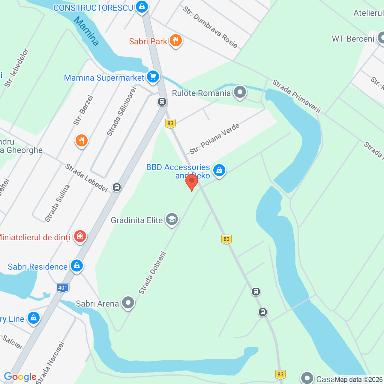 Poza harta streetview, zoom 16, adresa Berceni Ilfov, , judetul