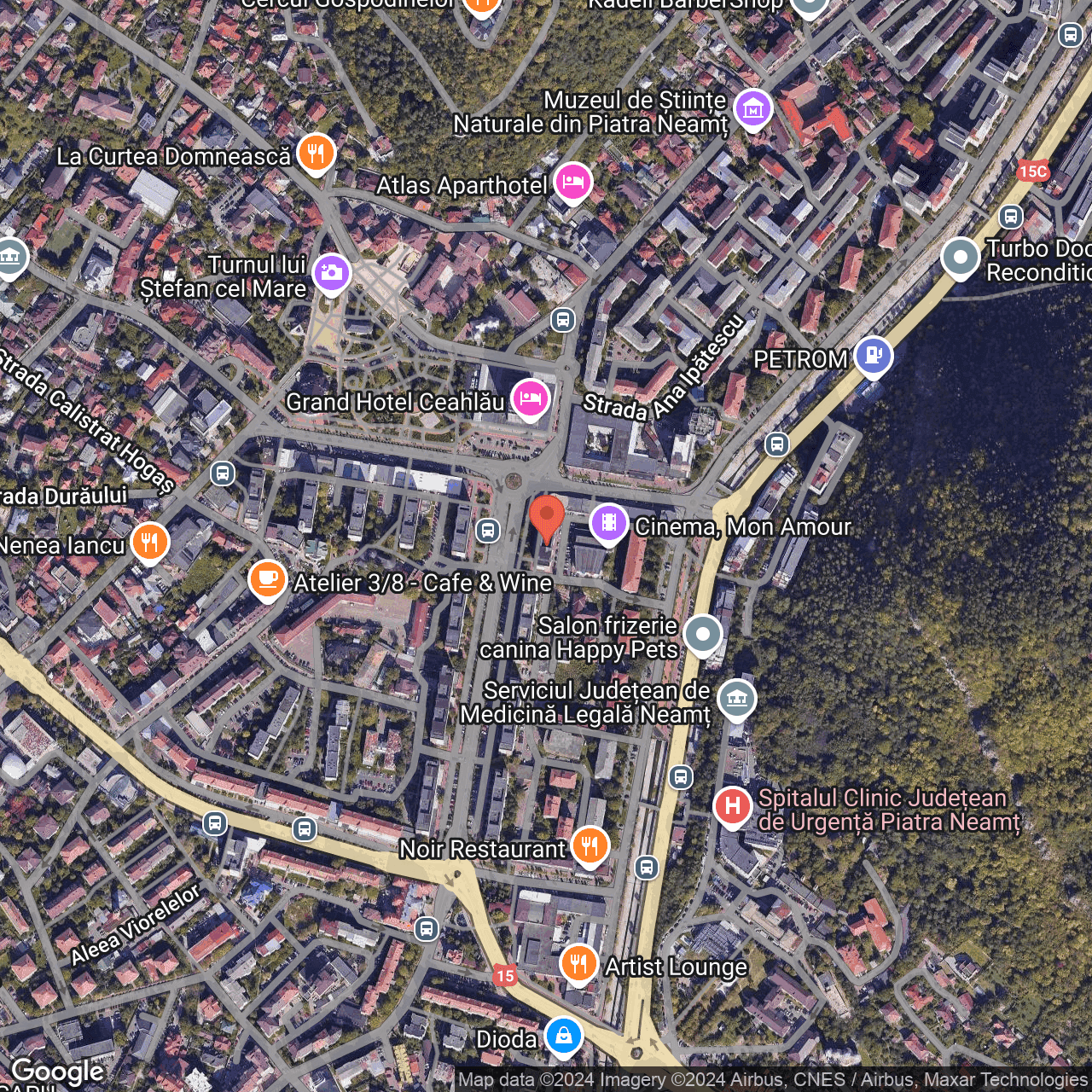 Poza harta hybrid, zoom 16, adresa Piatra Neamt, Piata Stefan cel Mare, nr. 12, , judetul