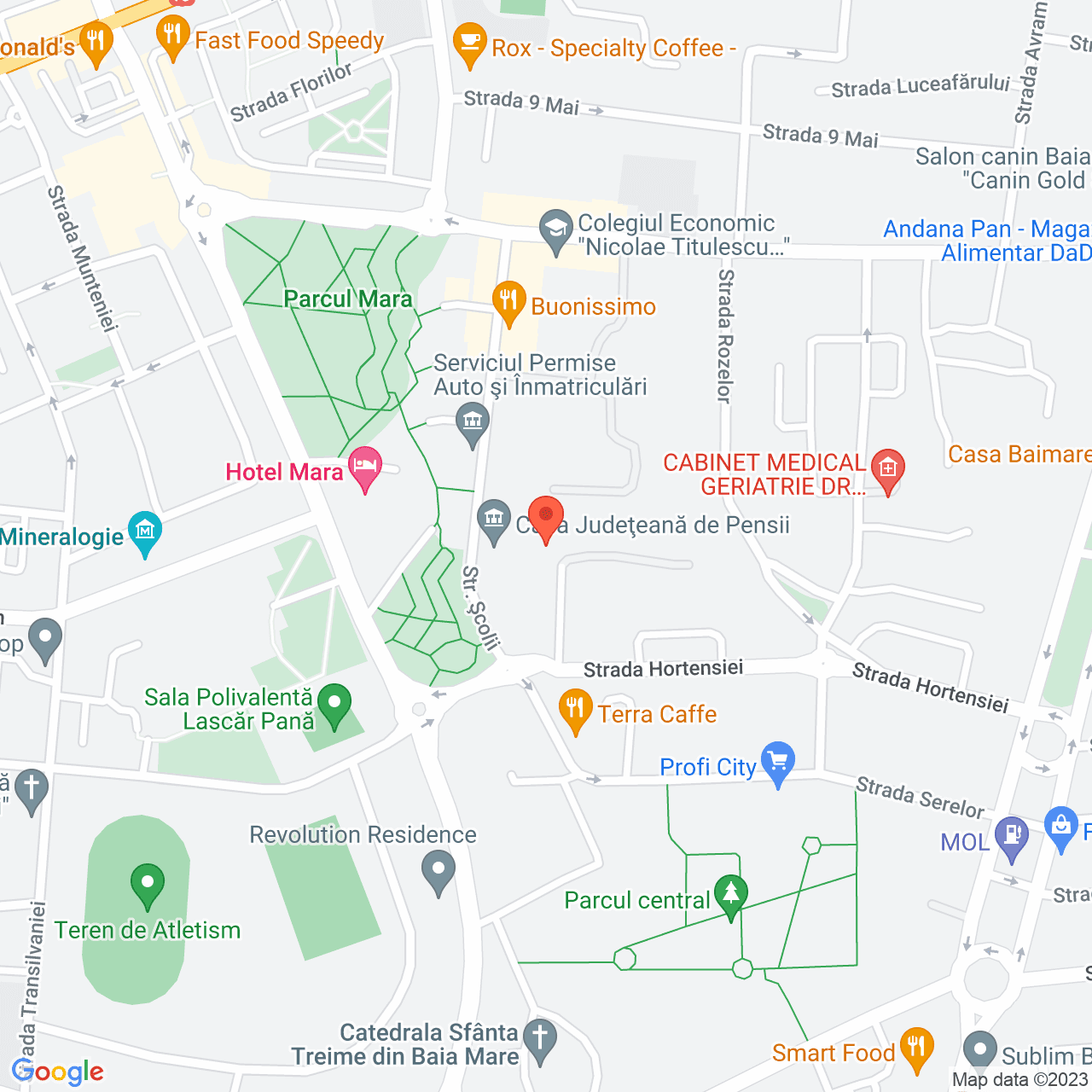 Poza harta streetview, zoom 16, adresa Baia Mare, Aleea Expoziției, nr. 1, , judetul