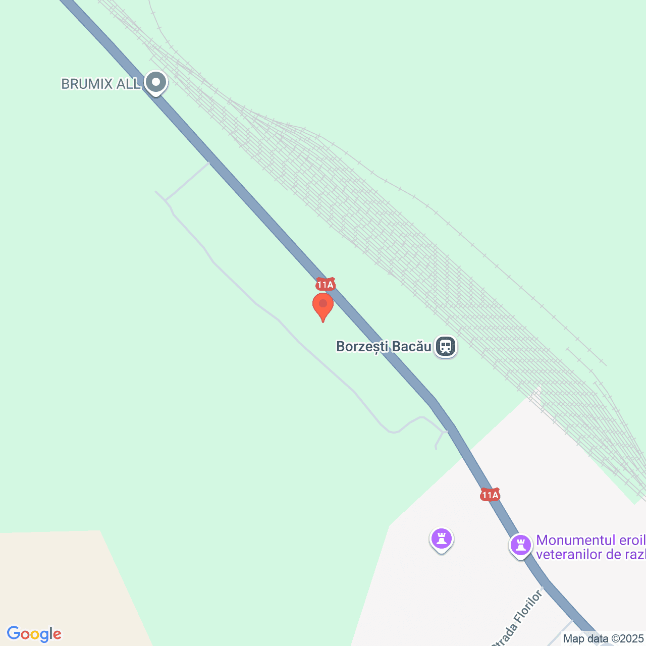 Poza harta streetview, zoom 16, adresa comuna Ștefan cel Mare, Bacău, , judetul