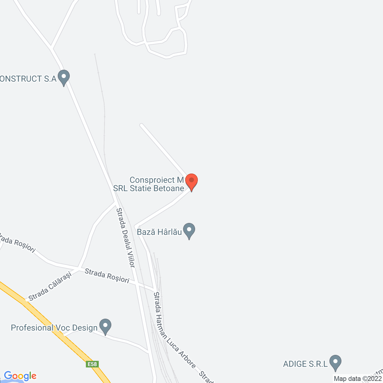 Poza harta streetview, zoom 16, adresa Viilor 13, Harlau, judetul Iasi