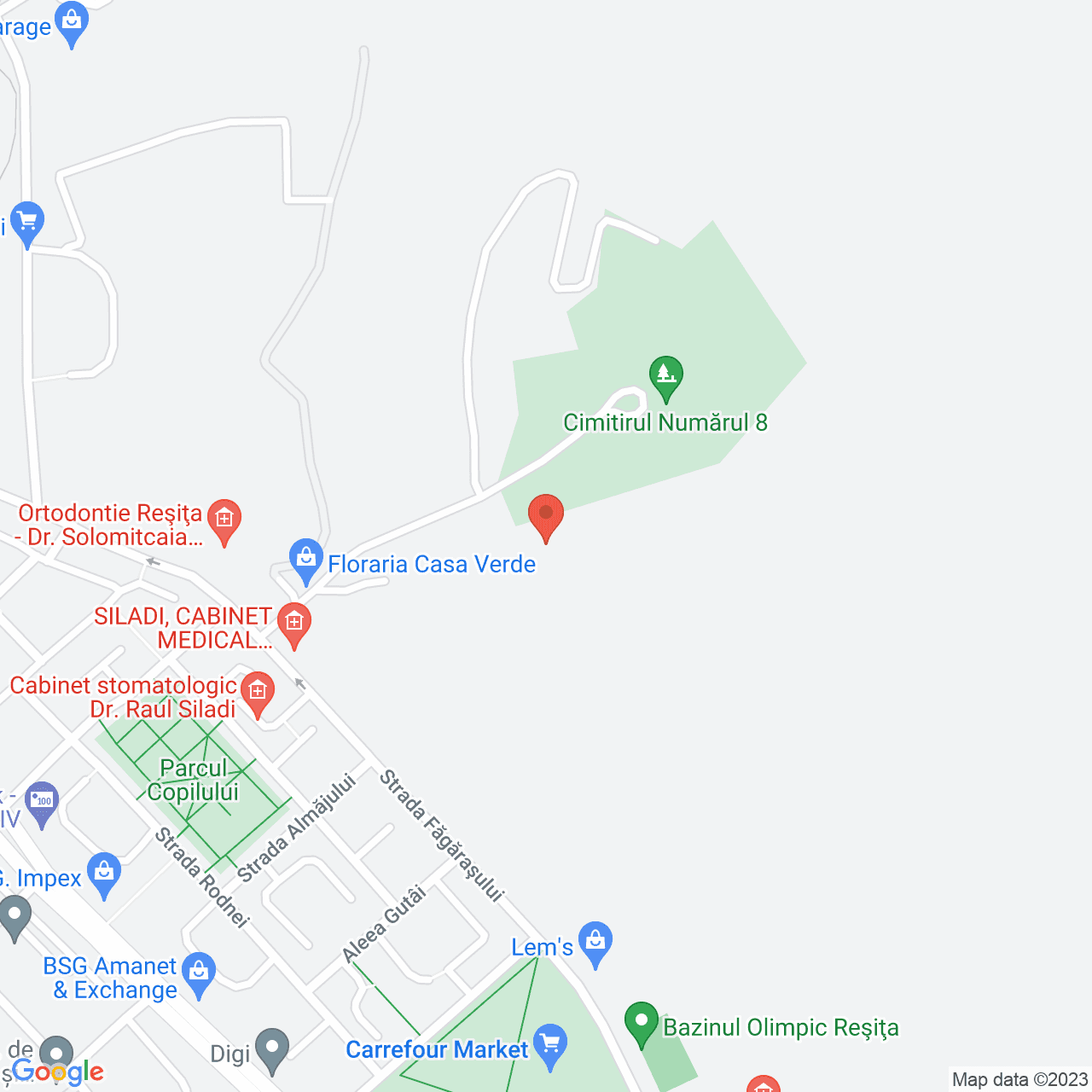 Poza harta streetview, zoom 16, adresa Reșița, , judetul