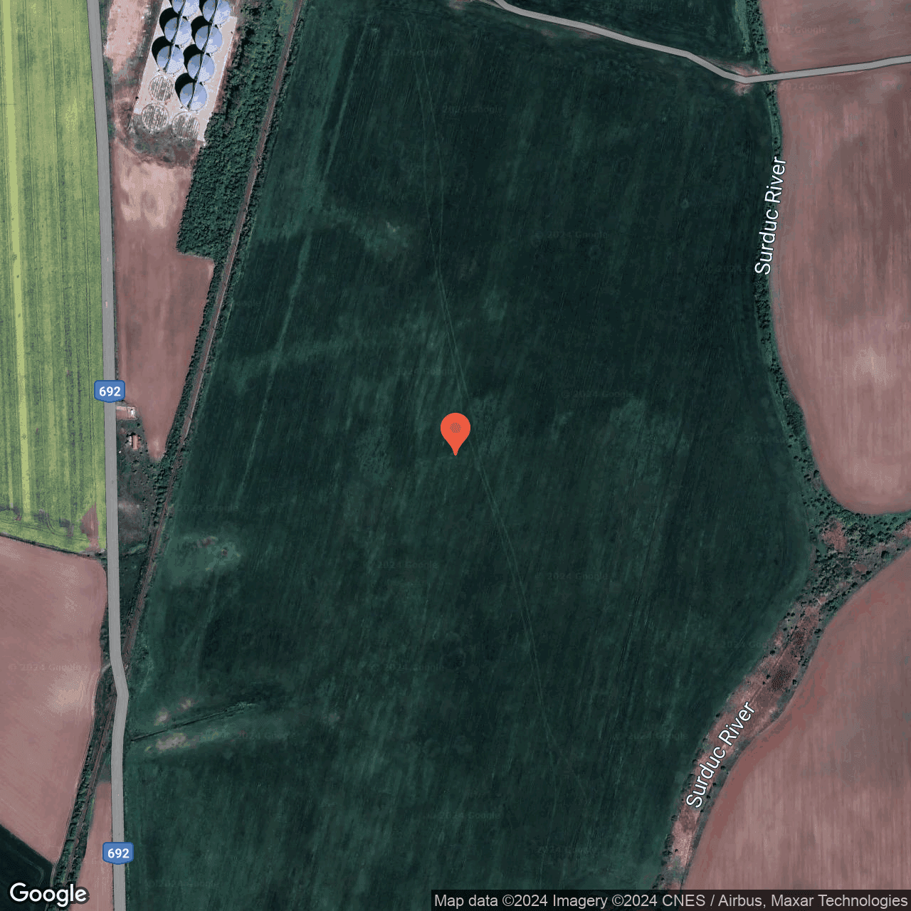 Poza harta hybrid, zoom 16, adresa Sanandrei Timis, , judetul