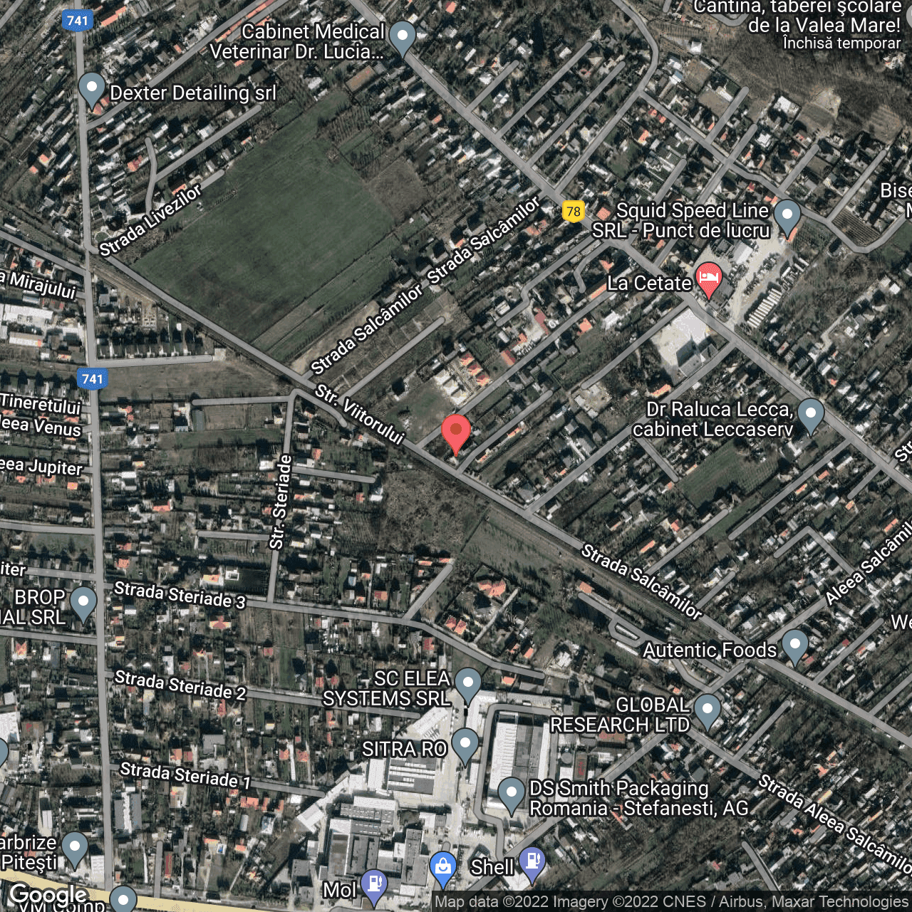 Poza harta hybrid, zoom 16, adresa Valea Mare-Podgoria, judetul Arges