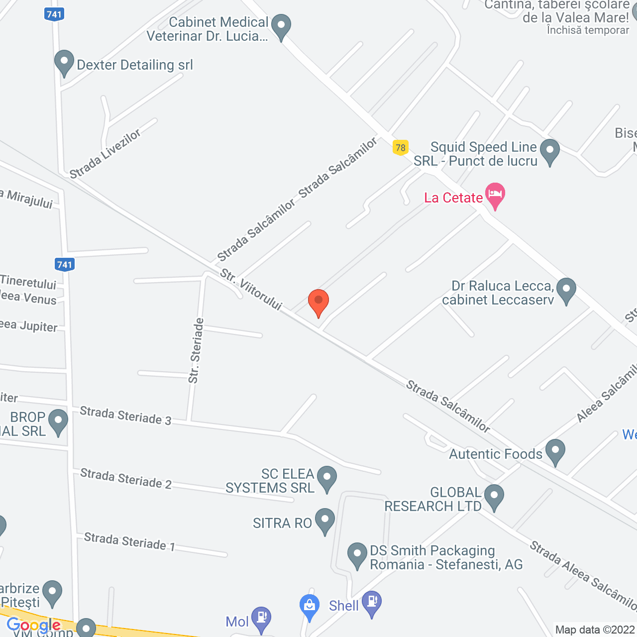 Poza harta streetview, zoom 16, adresa Valea Mare-Podgoria, judetul Arges