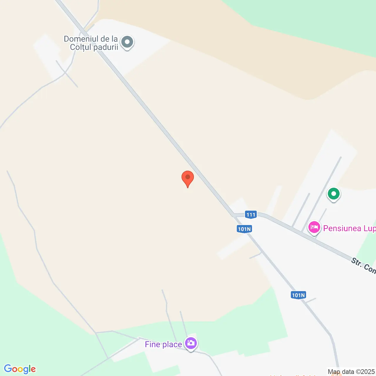 Poza harta streetview, zoom 16, adresa Ciolpani Ilfov, , judetul