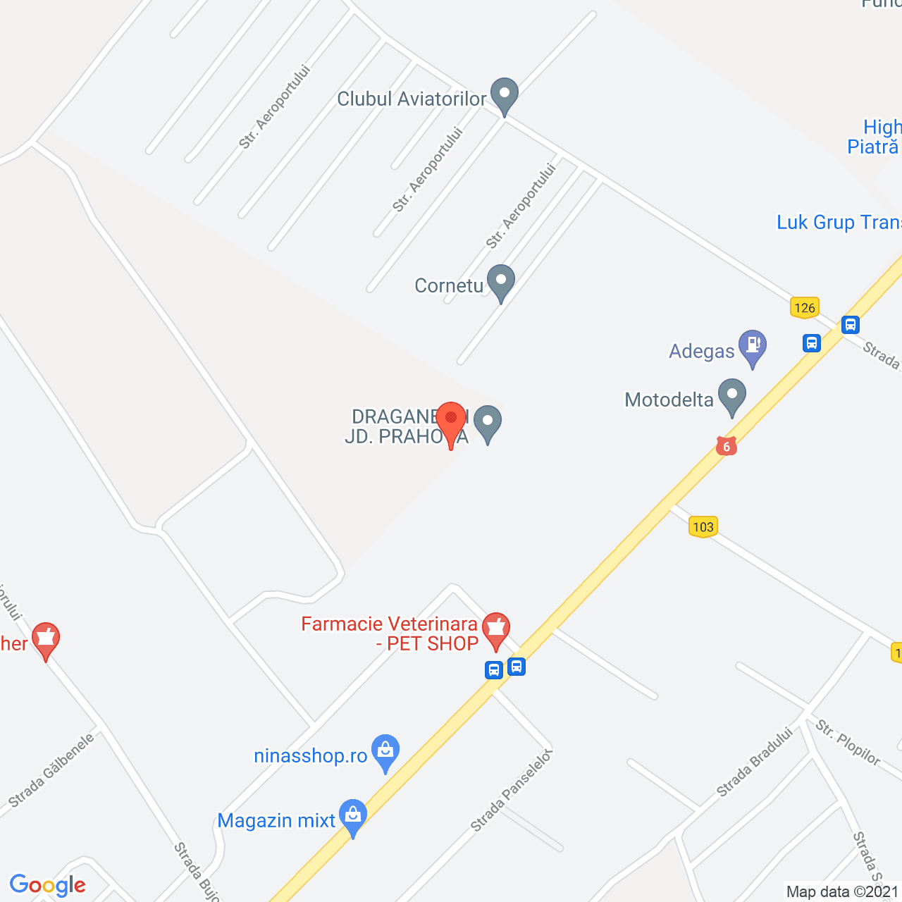 Poza harta streetview, zoom 16, adresa Cornetu, judetul Bucuresti Ilfov