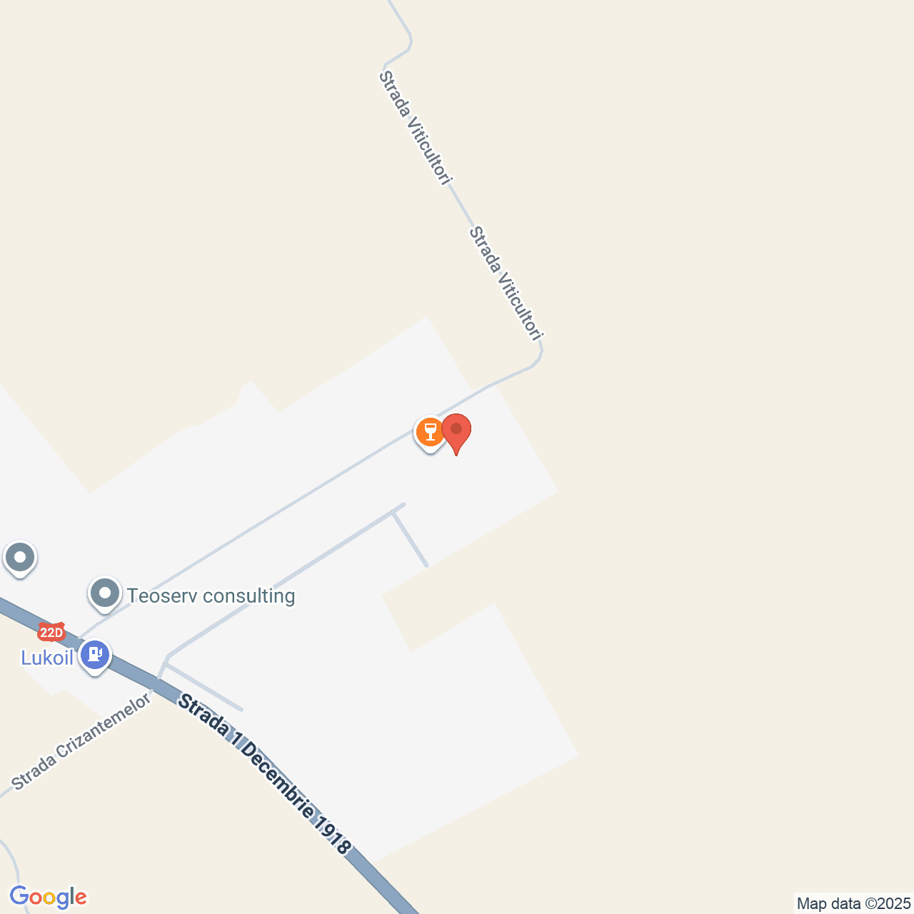 Poza harta streetview, zoom 16, adresa Măcin, str. Viticultori nr. 2 judet Tulcea, , judetul