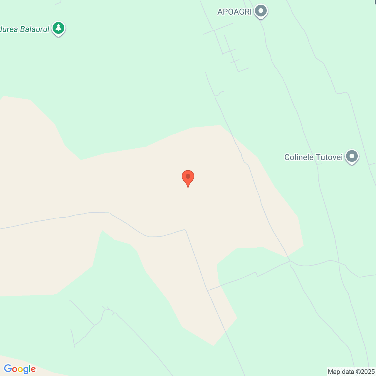 Poza harta streetview, zoom 14, adresa Ciocani Vaslui, , judetul