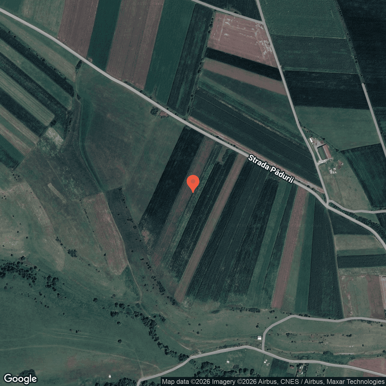 Poza harta hybrid, zoom 16, adresa Feldioara, , judetul